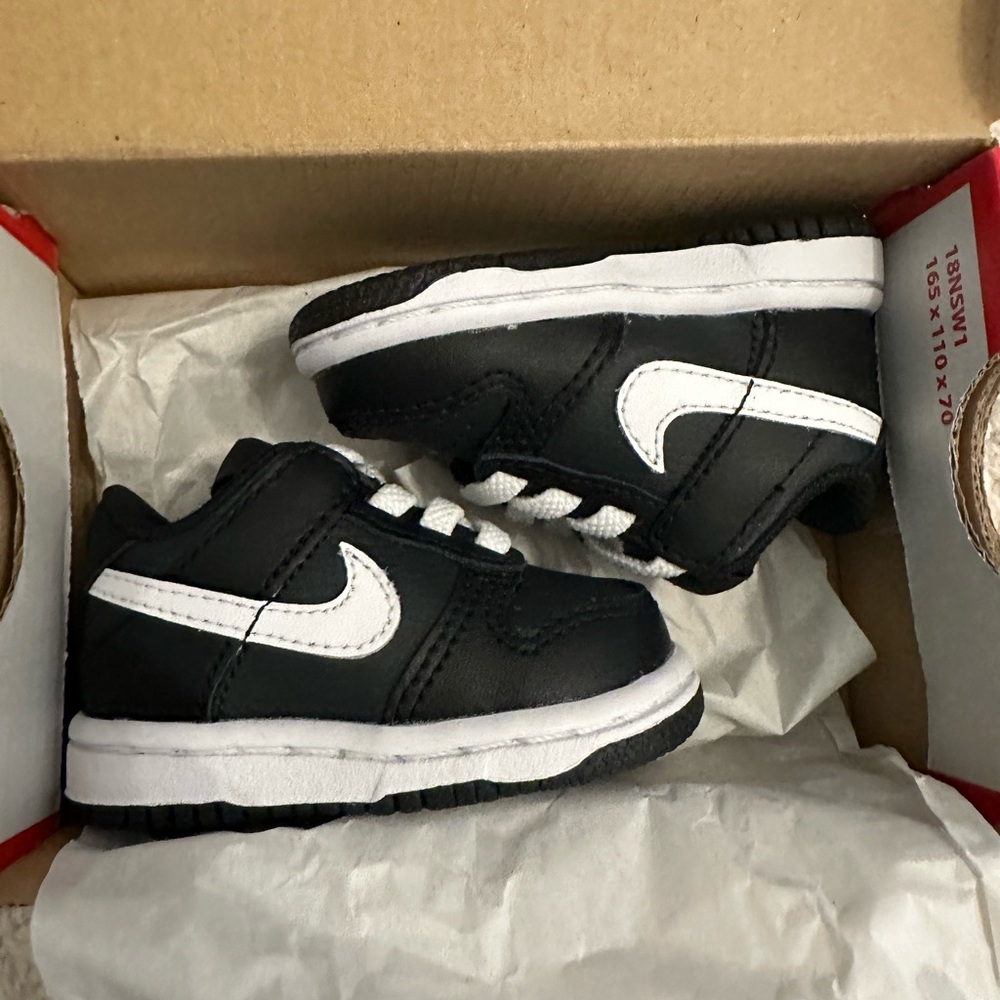 2c Nike Dunk Low (TDE)